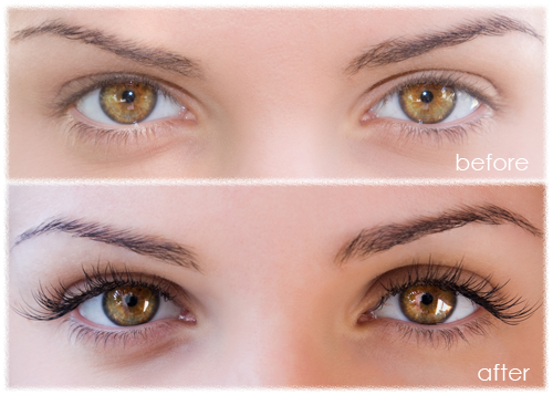 Eyelash and Eyebrow Tinting Eyelash and Eyebrow Tinting